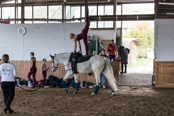 Bild 339 - Voltigierturnier